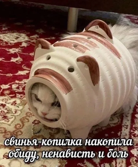 Свинья-копилка накопила обиду