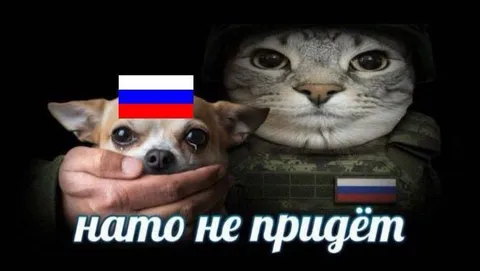 НАТО не приедет