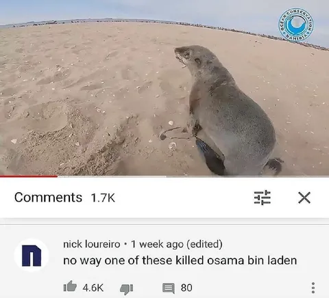 Seal Killed Osama bin Laden
