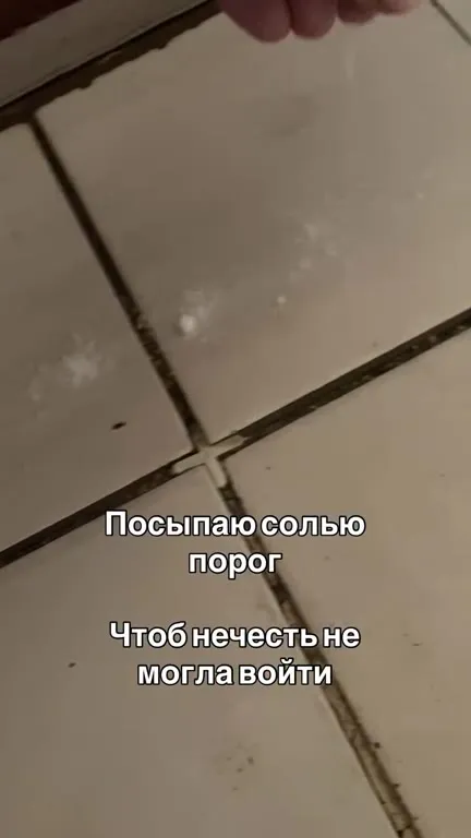 Кот не пускает нечистую силу