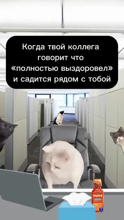 Когда коллега снова заболел