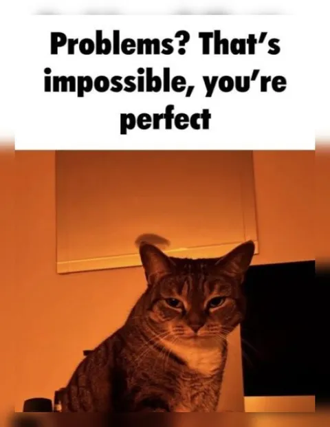 Problems? That's impossible, you're perfect