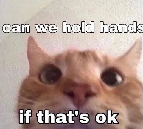 Can We Hold Hands Cat