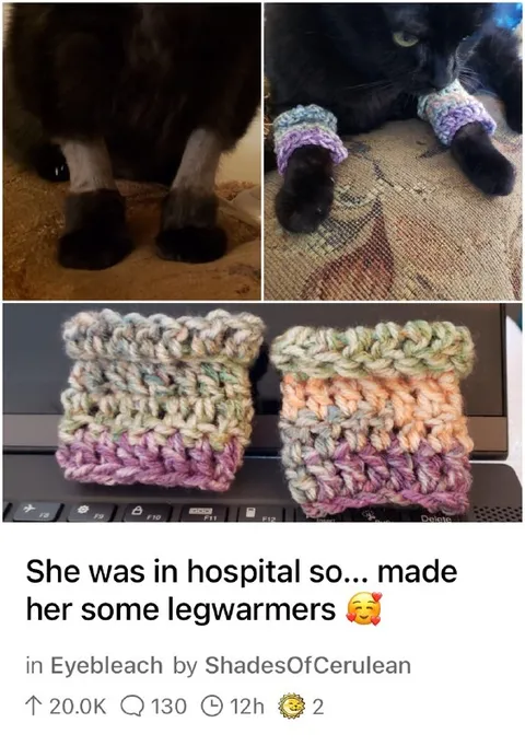 Cat Wearing Handmade Legwarmers
