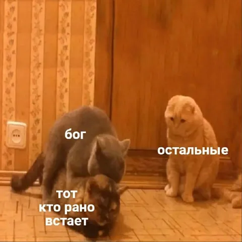 Бог и тот, кто рано встаёт