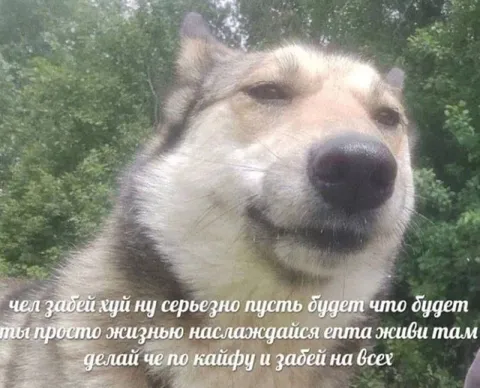 Просто наслаждайся жизнью