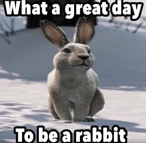Great Day to Be a Rabbit