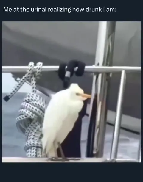 Drunk at the Urinal Heron