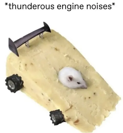 Mouse Cheese Tank
