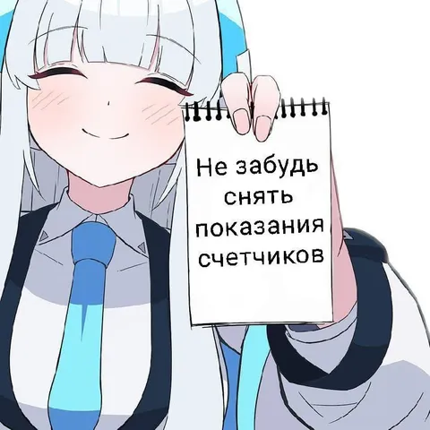 Не забудь снять показания