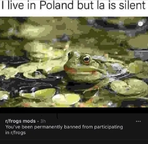 I Live in Poland but La Is Silent