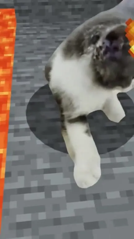 Minecraft Cats Gone Wrong