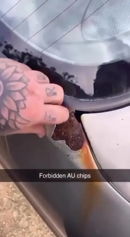 Forbidden AU Chips