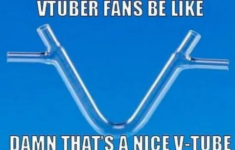 YouTuber Fans Love V-Tube