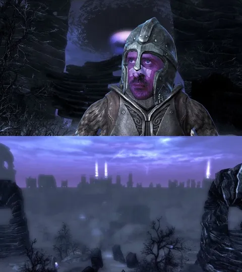 Skyrim Guard Sees Sovngarde
