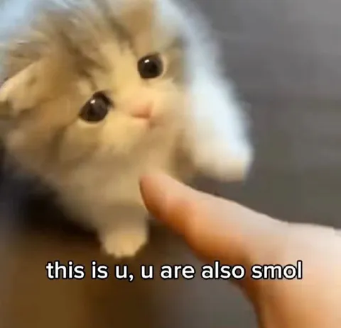 You Are Also Smol