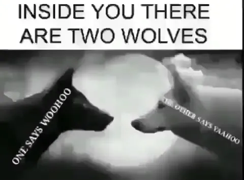 Inside You There Are Two Wolves