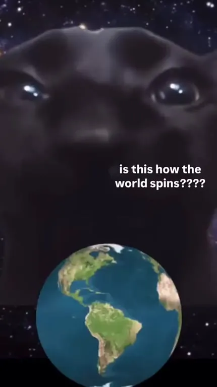 Dog Watches the World Spin