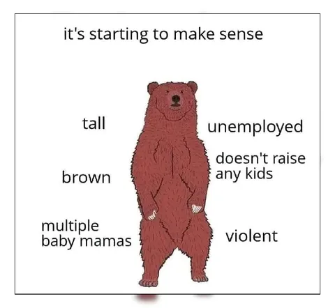 It’s Starting to Make Sense Bear