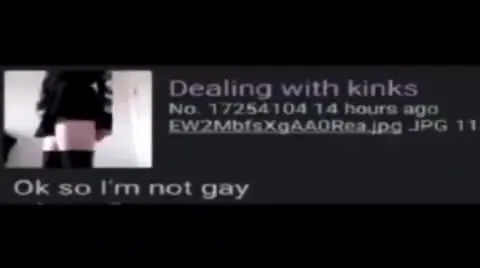I'm Not Gay, I'm Swedish