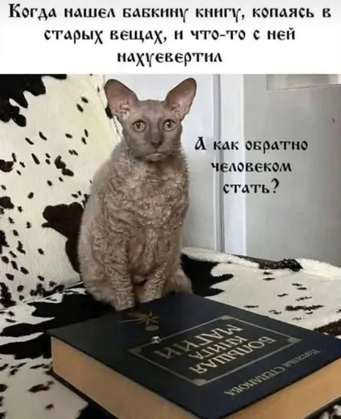Как обратно человеком стать