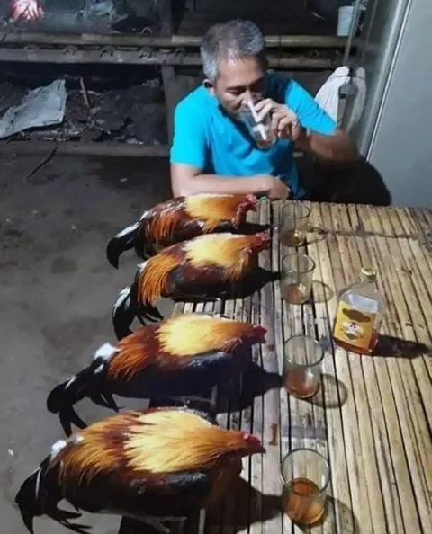 Куриный банкет за столом