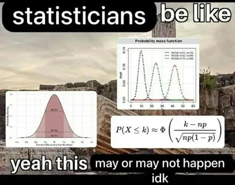 Statisticians Be Like Probability