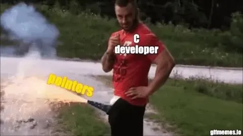 C Developer and Pointers