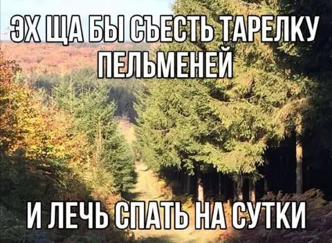 Тарелка пельменей и сон