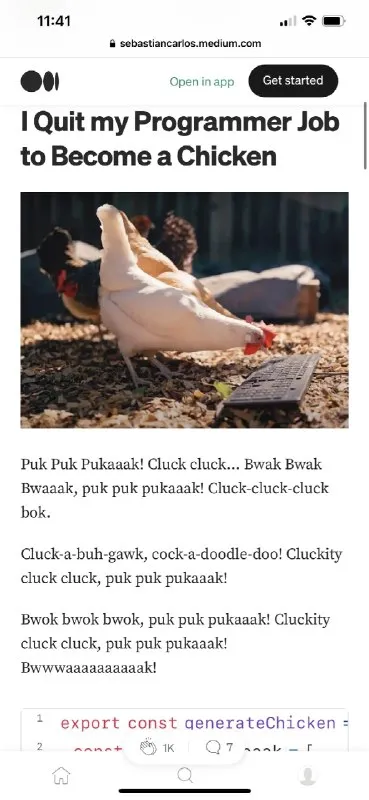 Programmer Becomes a Chicken