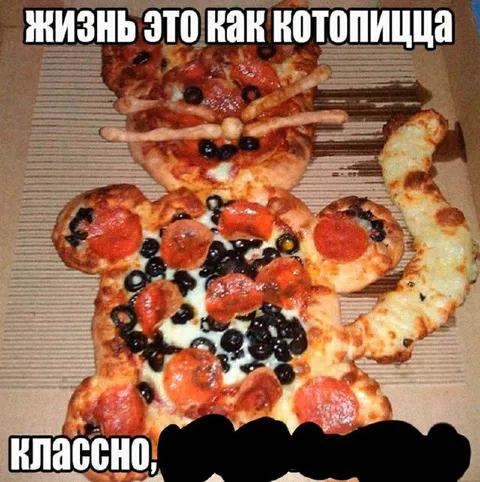 Жизнь как котолица