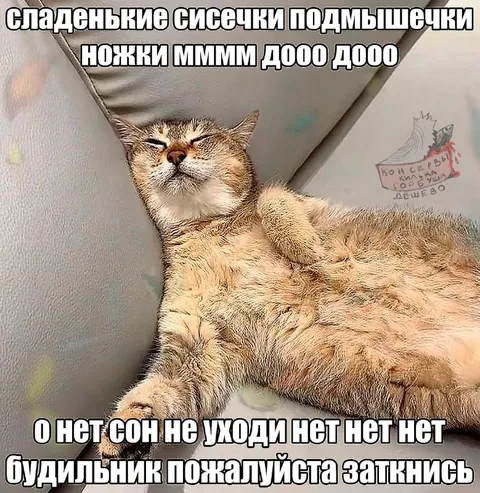Кот не хочет просыпаться