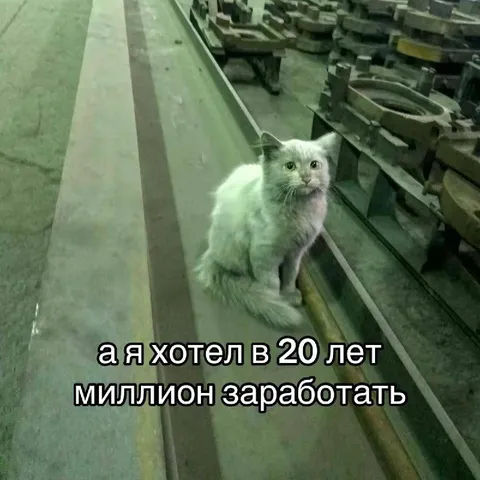 Миллион к двадцати годам