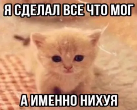 Я сделал всё что мог