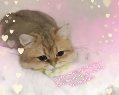 Опять красивая, а ты не видишь