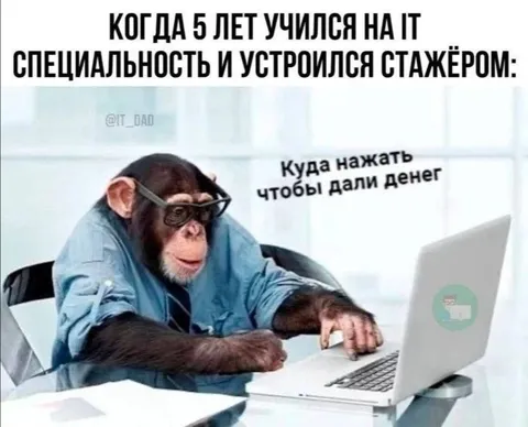 Пять лет учился на айтишника
