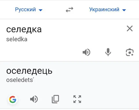 Селедка по-украински