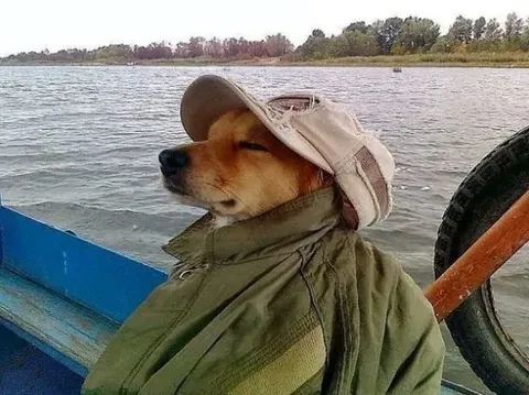 Пёс на рыбалке