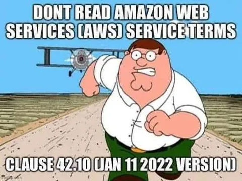 AWS Terms Clause 42.10