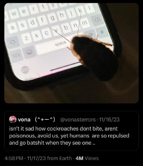 Cockroach Sympathy Tweet