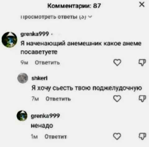 Я хочу съесть твою поджелудочную