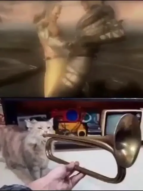 Эпичная дуэль и кот с тромбоном