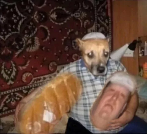 Пёс обнимает хлеб