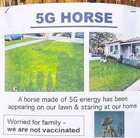 5G Horse on the Lawn