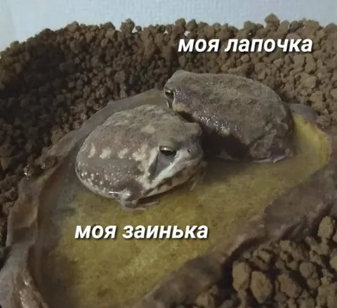 Моя лапочка и заинка
