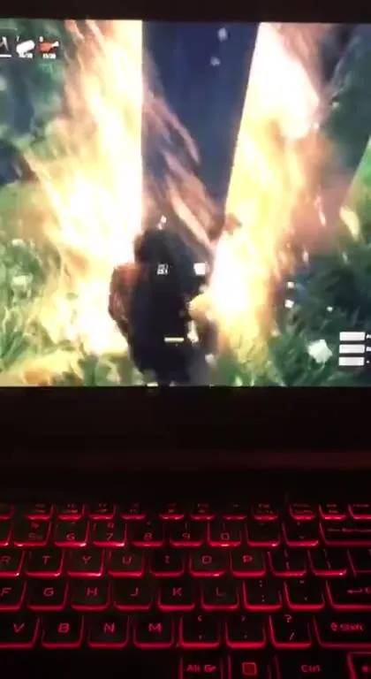 Tree Falls and You Died
