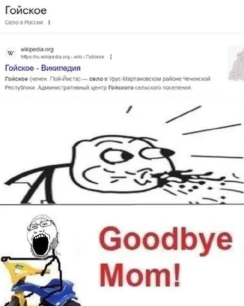 Гойское — Goodbye Mom