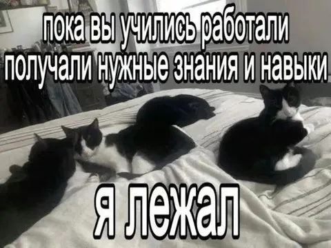 Пока вы учились, я лежал