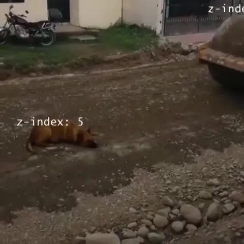 Cat Has Higher Z-Index