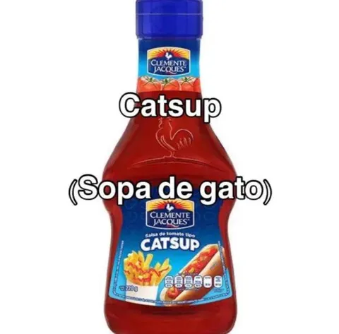 Sopa de gato en catsup